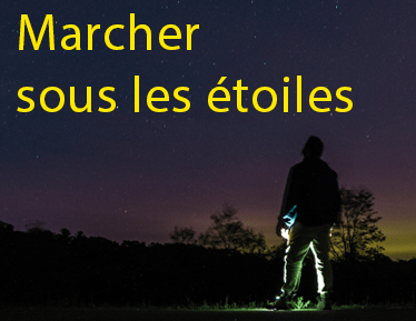 MARCHE GOURMANDE à Jaulges