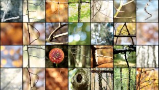 EXPOSITION PHOTOGRAPHIES à Turny