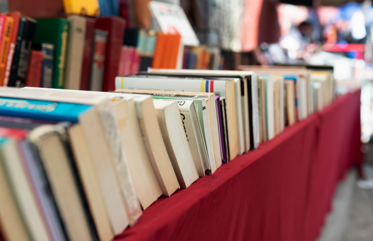 FOIRE AUX LIVRES ET DISQUES à Brienon sur Armançon