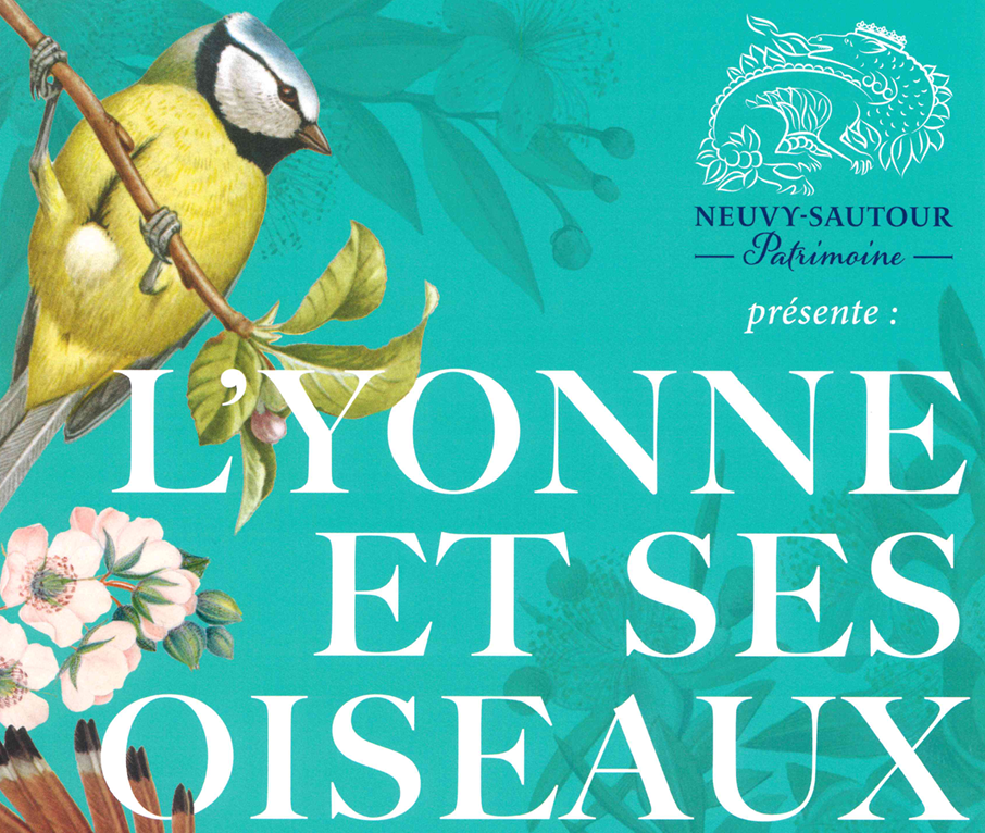 EXPOSITION SUR LES OISEAUX à Neuvy-Sautour