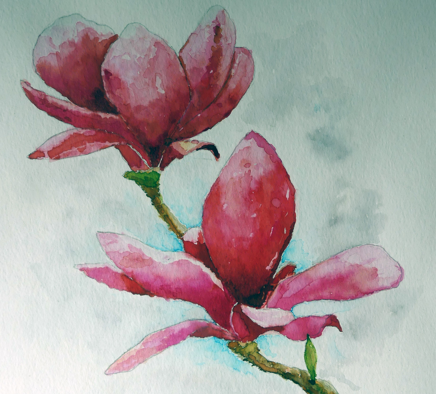 EXPOSITION FRANCINE NOURRY à Saint-Florentin