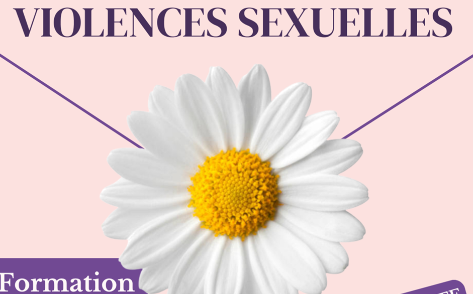 FORMATION SUR LES VIOLENCES SEXUELLES à Brienon sur Armançon