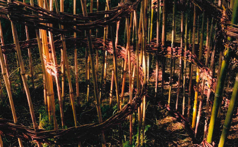 ATELIER : S'INITIER À LA VANNERIE PAYSAGÈRE à Brienon-sur-Armançon