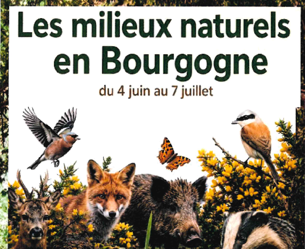 EXPOSITION SUR LES MILIEUX NATURELS EN BOURGOGNE à Venizy