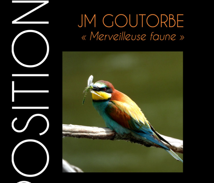 EXPOSITION DE PHOTO à Saint-Florentin